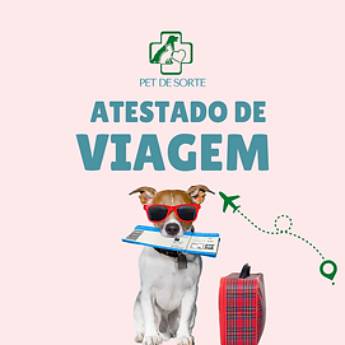 Comprar o produto de Atestado de Saúde Pet para Viagens Nacionais e Internacionais em Veterinário em Mairinque, SP por Solutudo