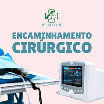 Comprar o produto de Encaminhamento Cirúrgico em Veterinário em Mairinque, SP por Solutudo