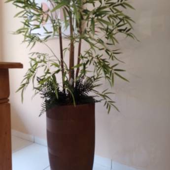 Comprar o produto de Plantas Decorativas em Artigos para Decoração em Botucatu, SP por Solutudo