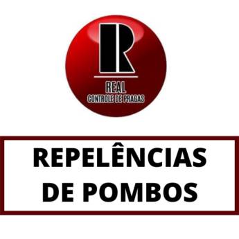 Comprar o produto de Especialista em repelências De Pombos em Controle de Pragas Urbanas em Itapetininga, SP por Solutudo