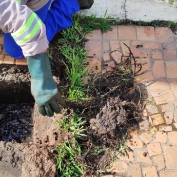 Comprar o produto de Desentupimento de Banheiros em Desentupidoras em São Paulo, SP por Solutudo