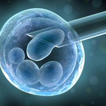 Comprar o produto de FIV/TETF em Nossos Serviços em Mineiros, GO por Solutudo