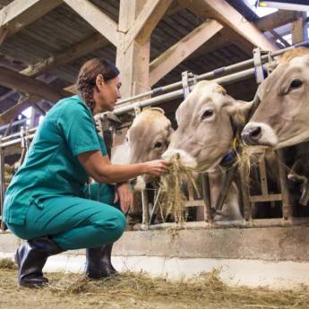 Comprar o produto de EXAMES  em Nossos Serviços em Mineiros, GO por Solutudo