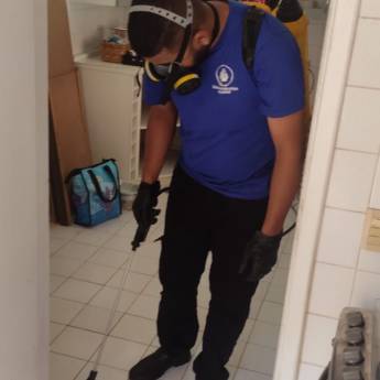 Comprar o produto de Tratamento contra pulgas em Maricá em Dedetização em São Gonçalo, RJ por Solutudo