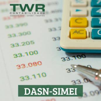 Comprar o produto de DASN-SIMEI (Declaração Anual do Simples Nacional para o Microempreendedor Individual) em Contabilidade em Itapetininga, SP por Solutudo