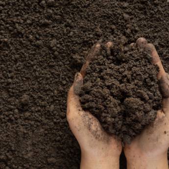Comprar o produto de Venda de Terra em Jardinagem em Matinhos, PR por Solutudo