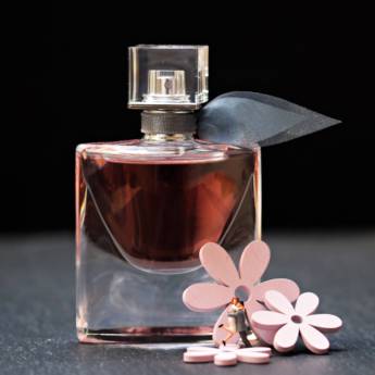Comprar o produto de Rótulo de perfume em Bauru em Rótulos  em Bauru, SP por Solutudo