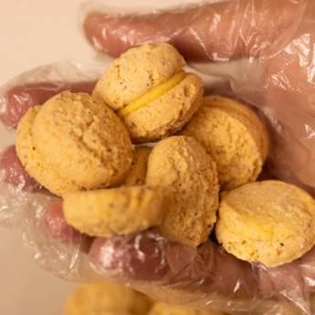 Comprar o produto de Produtos Veganos em Produtos de Limpeza Naturais - Veganos em Dracena, SP por Solutudo