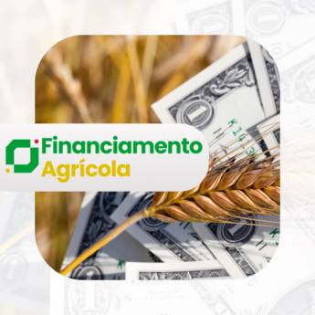 Comprar o produto de Financiamento Agrícola em Negócios em Foz do Iguaçu, PR por Solutudo