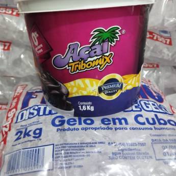 Comprar produto Açaí Tribomix em Açaí pela empresa Fica Frio - Distribuidora de Gelo em Mineiros, GO