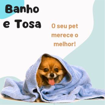 Comprar produto Banho & Tosa em Pet Shop pela empresa Passarinho Banho e Tosa em Itapetininga, SP