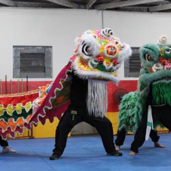 Comprar o produto de Dança do leão chinês em Bauru em Danças em Bauru, SP por Solutudo