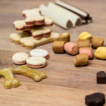 Comprar o produto de Petisco para pet em Casas de Ração em Botucatu, SP por Solutudo