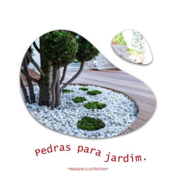 Comprar o produto de Pedras para Jardim em Piscinas em Itapetininga, SP por Solutudo