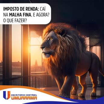 Comprar o produto de Declaração de Imposto de Renda – IRPF: Mantenha Suas Finanças em Ordem com Nossa Assessoria Especializada em Eldorado/MS em Contabilidade em Eldorado, MS por Solutudo