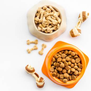 Comprar o produto de Petisco para pet em Casas de Ração em Botucatu, SP por Solutudo