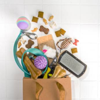 Comprar o produto de Acessórios para pet em Casas de Ração em Botucatu, SP por Solutudo