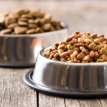 Comprar o produto de Casa de Ração  em Casas de Ração em Botucatu, SP por Solutudo