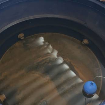 Comprar o produto de Limpeza de caixa d'água  em Limpeza de Caixas D'Água em Botucatu, SP por Solutudo Comprar o produto de Limpeza de caixa d'água  em Limpeza de Caixas D'Água em Botucatu, SP por Solutudo