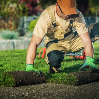 Comprar o produto de Paisagismo  em Paisagismo em Botucatu, SP por Solutudo