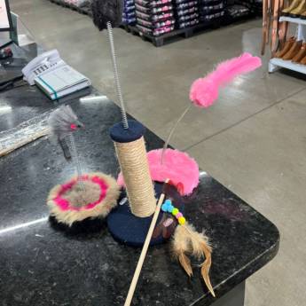 Comprar o produto de Acessórios para gatos  em Acessórios para Gatos em Mineiros, GO por Solutudo