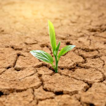 Comprar o produto de Aterramento em Terraplanagens em Botucatu, SP por Solutudo