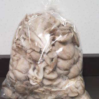 Comprar o produto de Shimejis por Kilo - Frescor direto do campo - São José dos Campos em Alimentação Saudável em São José dos Campos, SP por Solutudo