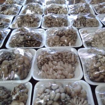 Comprar o produto de Shimejis Brancos Bandejas 200g - Frescor e praticidade para sua cozinha - São José dos Campos em Alimentação Saudável em São José dos Campos, SP por Solutudo