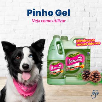 Comprar o produto de Pinho Gel - Limpeza Profunda - São Carlos, SP em Produtos de Limpeza em São Carlos, SP por Solutudo