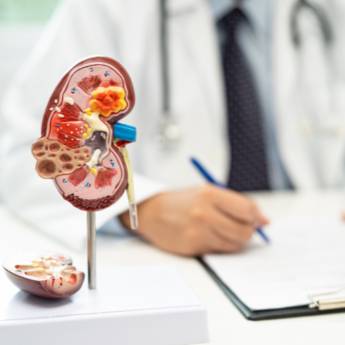 Comprar o produto de Nefrologista em Ourinhos - Excelência em Cuidado Renal em Nefrologia em Ourinhos, SP por Solutudo