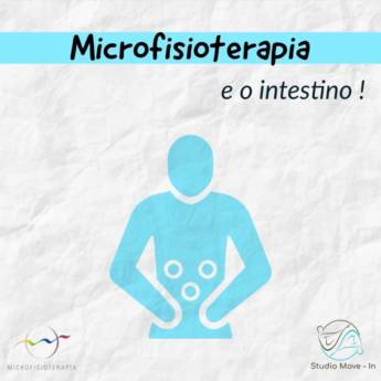 Comprar o produto de Microfisioterapia e o intestino! em Fisioterapia em Avaré, SP por Solutudo