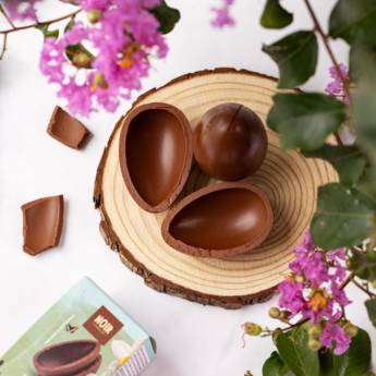 Comprar o produto de Ovo de Páscoa de Chocolate Ao Leite Crocante  em Ovo de Páscoa em Mineiros, GO por Solutudo