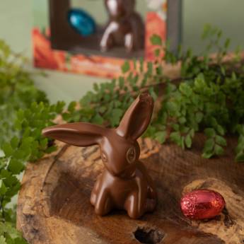 Comprar o produto de Coelhinho de Chocolate Ao Leite  em Chocolate em Mineiros, GO por Solutudo