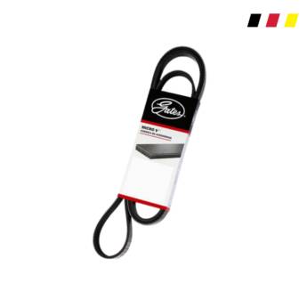 Comprar o produto de Correia Alternador Hyundai em Correias pela empresa Germany Peças em Foz do Iguaçu, PR por Solutudo