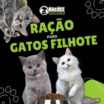 Comprar produto Rações para Gatos Filhote em Ração para Gatos pela empresa Rações Vasconcelos em Itapetininga, SP