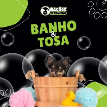 Comprar o produto de Banho & Tosa  em Banho e Tosa em Itapetininga, SP por Solutudo