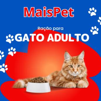 Comprar o produto de Ração para Gatos Adulto em Ração para Gatos em Itapetininga, SP por Solutudo
