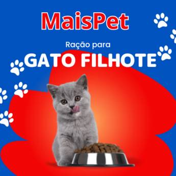 Comprar o produto de Ração para Gatos Filhote em Ração para Gatos pela empresa Mais Pet em Itapetininga, SP por Solutudo