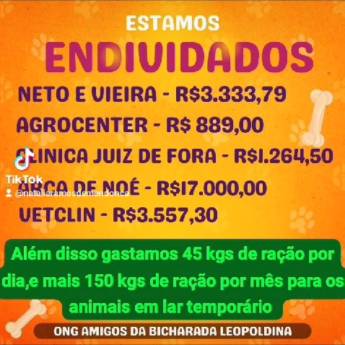 Comprar o produto de A ONG Amigos da Bicharada  pede ajuda a população de Leopoldina para não fechar as portas‼ em Animais em Leopoldina, MG por Solutudo