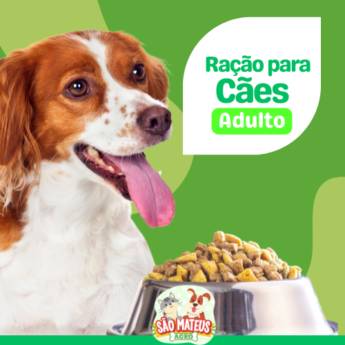 Comprar o produto de Ração para Cães Adulto em Ração para Cachorros em Itapetininga, SP por Solutudo