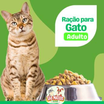 Comprar o produto de Ração para Gato Adulto em Ração para Gatos em Itapetininga, SP por Solutudo