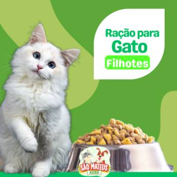 Comprar o produto de Melhor Ração para Gato Filhote em Ração para Gatos em Itapetininga, SP por Solutudo