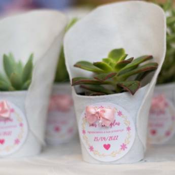 Comprar o produto de Lembrancinhas de Suculentas para Eventos - Um Toque Verde Que Encanta em São Paulo em Floriculturas em São Paulo, SP por Solutudo