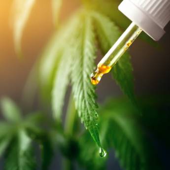 Comprar o produto de Manipulação CBD Canabidiol em Outros Serviços em Botucatu, SP por Solutudo