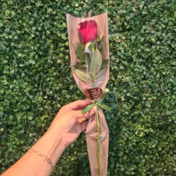 Comprar o produto de Rosa única em Flores em Foz do Iguaçu, PR por Solutudo