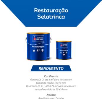 Comprar o produto de Restauração Selatrina em Bauru em Tintas e Impermeabilizantes em Bauru, SP por Solutudo
