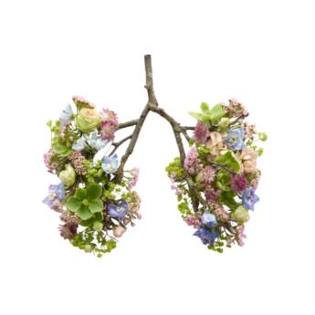 Comprar o produto de Teste PCR para infecções respiratórias em Laboratórios Clínicos em Botucatu, SP por Solutudo