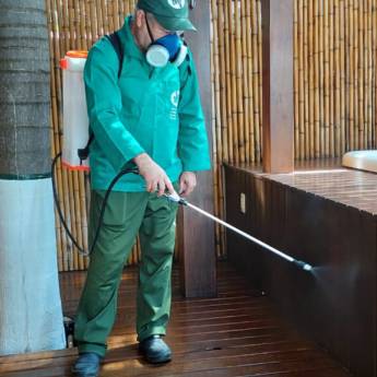 Comprar o produto de Dedetizadora - Solução Confiável para Controle de Pragas em Cotia em Dedetizadoras em Cotia, SP por Solutudo Comprar o produto de Dedetizadora - Solução Confiável para Controle de Pragas em Cotia em Dedetizadoras em Cotia, SP por Solutudo