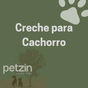 Comprar o produto de Creche para Cachorro em Itapetininga em Hoteis para Cães em Itapetininga, SP por Solutudo
