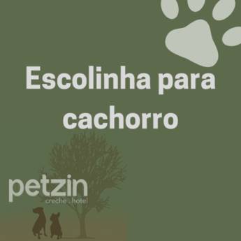 Comprar o produto de Escolinha para Cachorro em Itapetininga em Hoteis para Cães em Itapetininga, SP por Solutudo